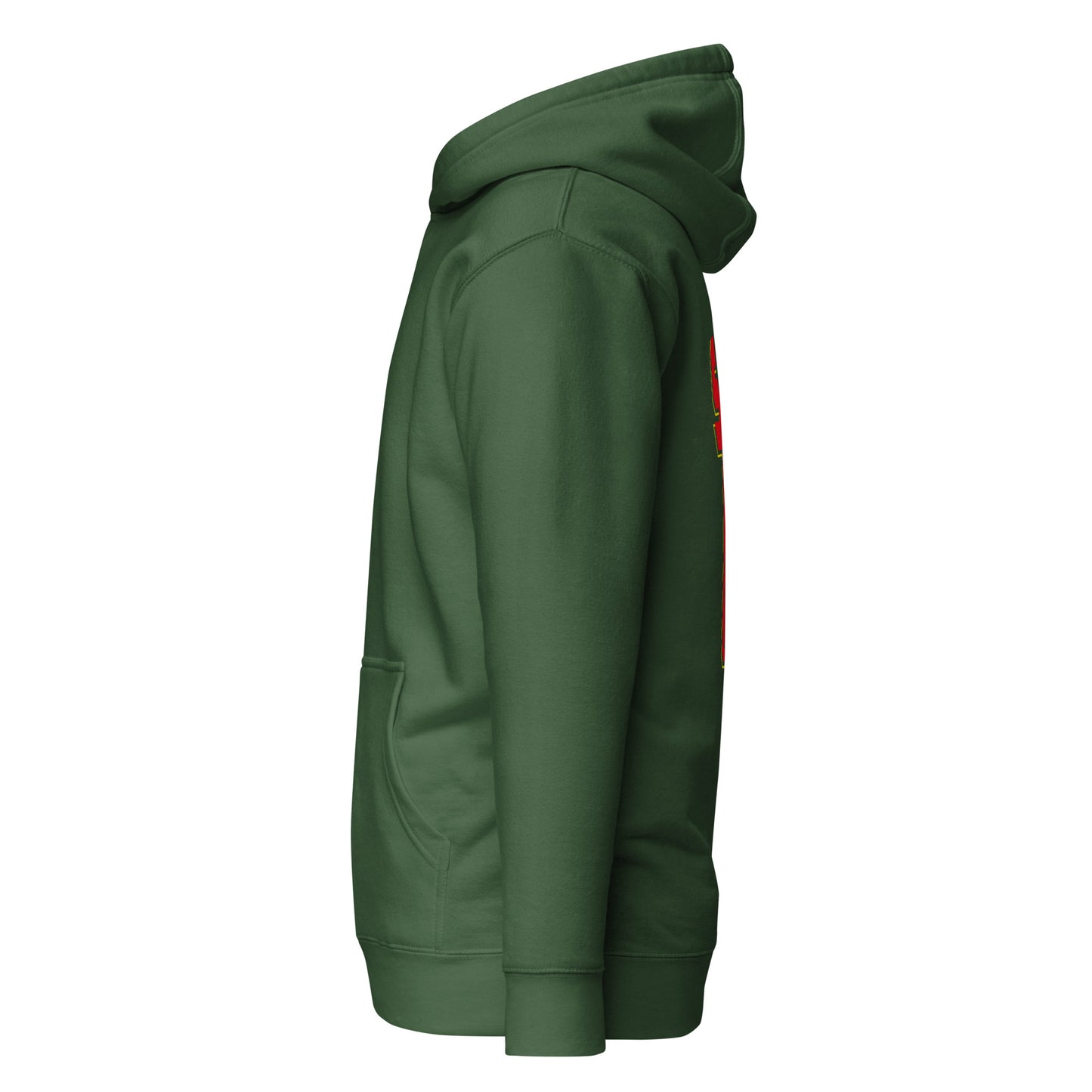 Premium Hoodie Retro Salsa (green)