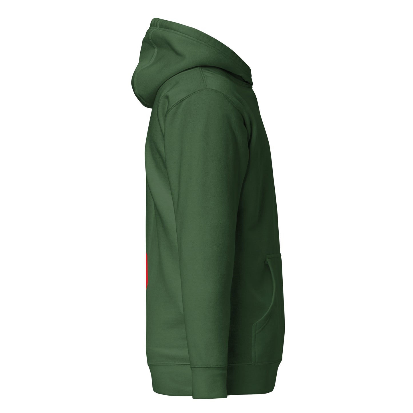 Premium Hoodie Retro Salsa (green)