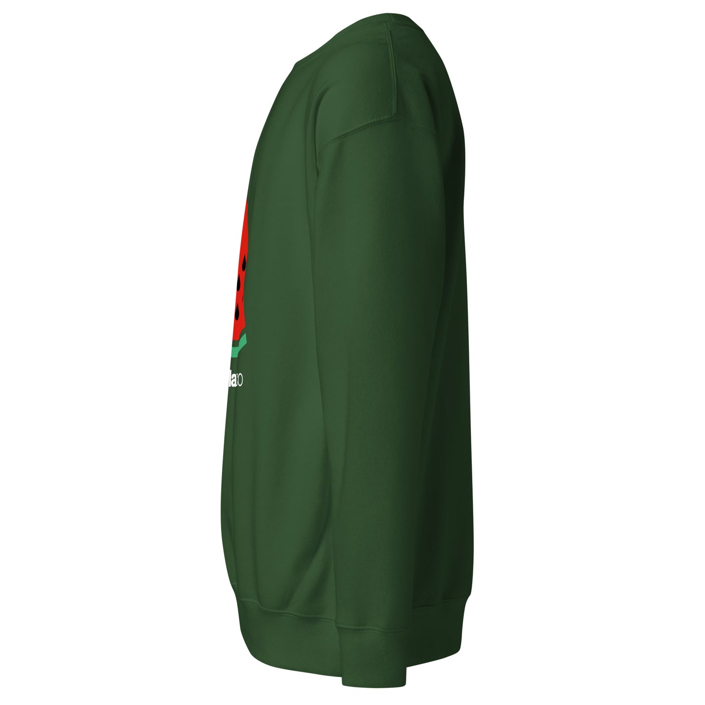 Jersey premium Bailarico
