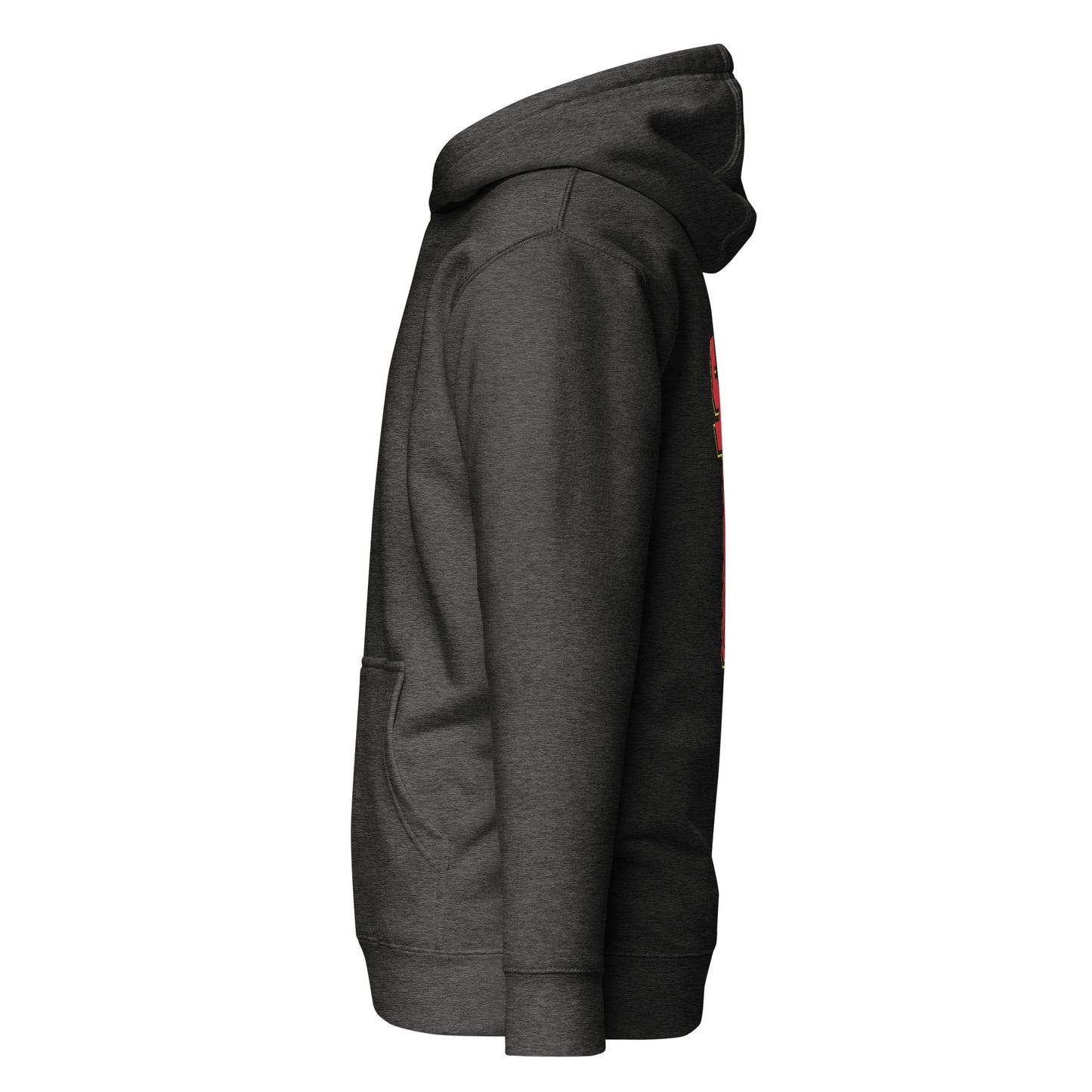 Premium Hoodie Salsa Retro (dark grey)